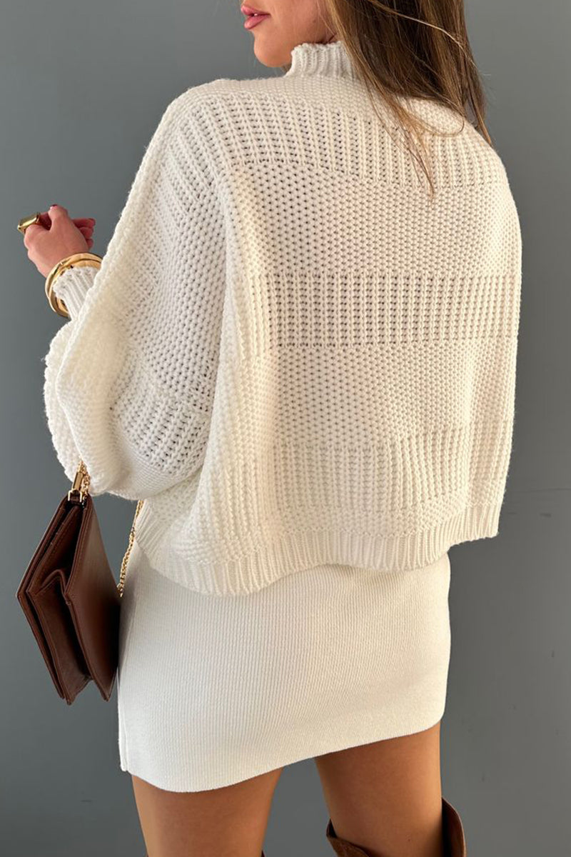 Casual Daily Solid Color Weave Turtleneck Sweaters