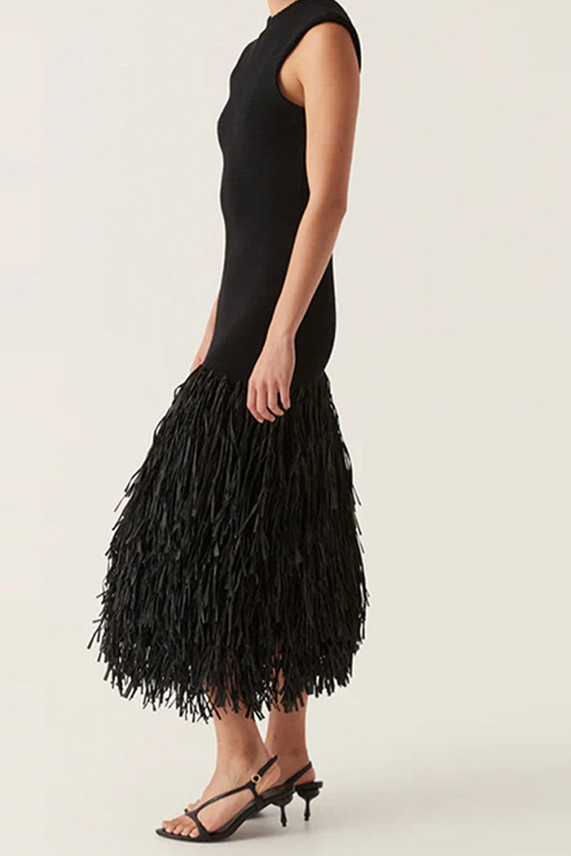 Casual Party Fringed Trim O Neck Sleeveless Dresses