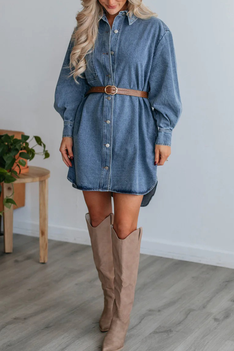 Casual Street Distressed Pocket Buttons Turndown Collar Long Sleeve Loose Denim Dresses(No Belt)