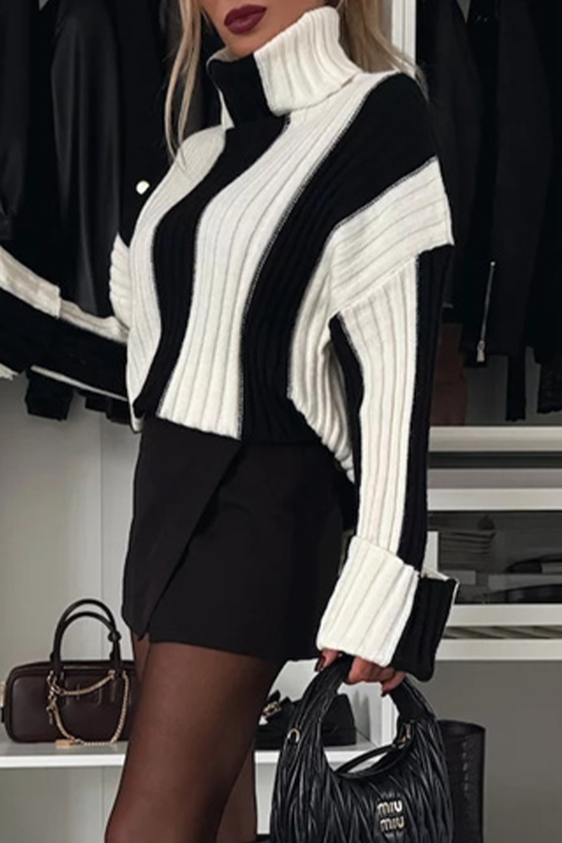 Casual Stripe Weave Contrast Turtleneck Sweaters