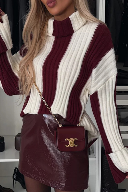 Casual Stripe Weave Contrast Turtleneck Sweaters