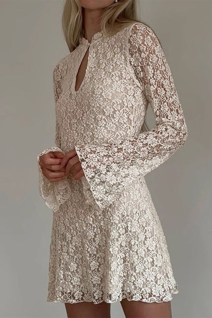 Sexy Lace Buttons Mandarin Collar Lace Dress Dresses